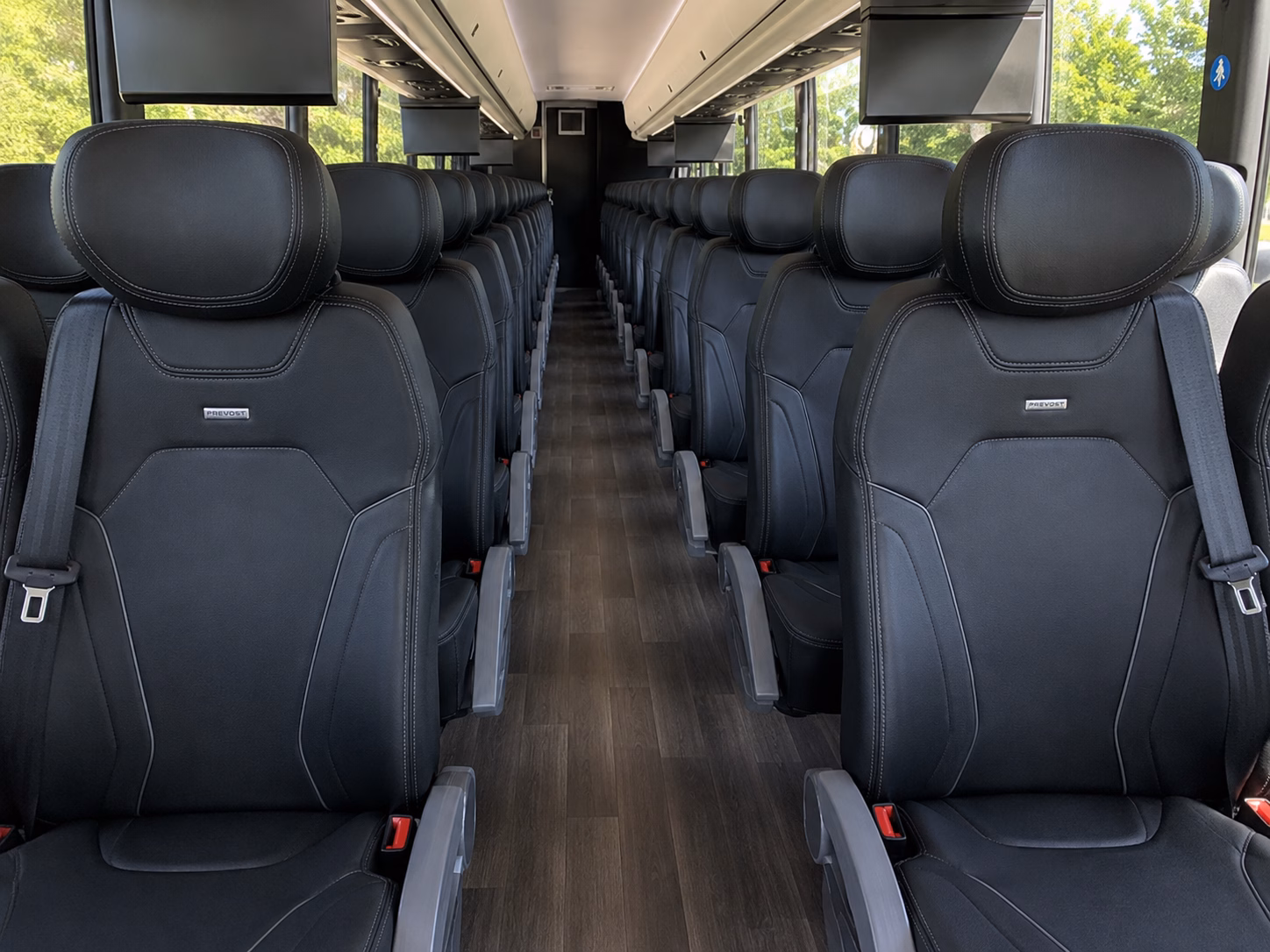 bachelorette and bachelor party buses across the east bay